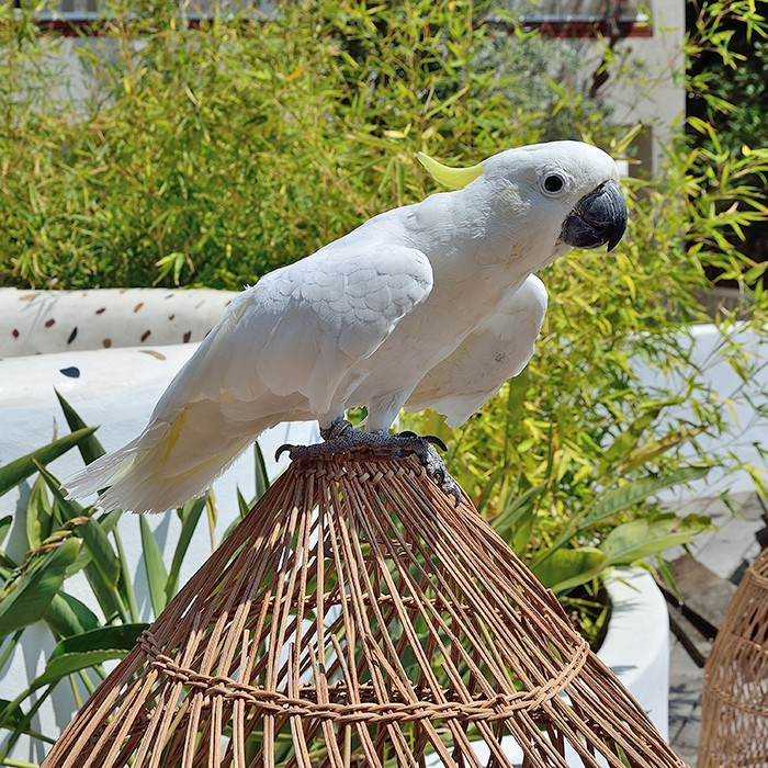 MyLamp Concept | Aydınlatma & Dekorasyon