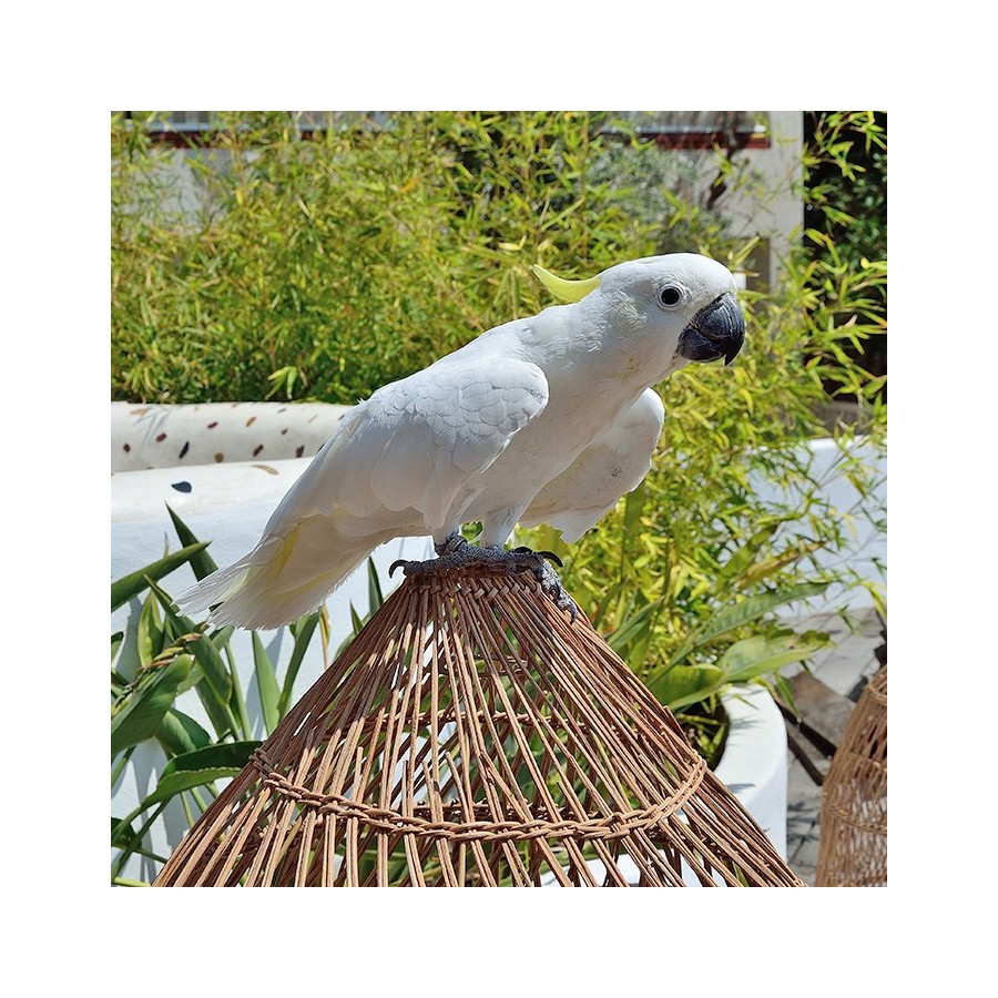 MyLamp Concept | Aydınlatma & Dekorasyon