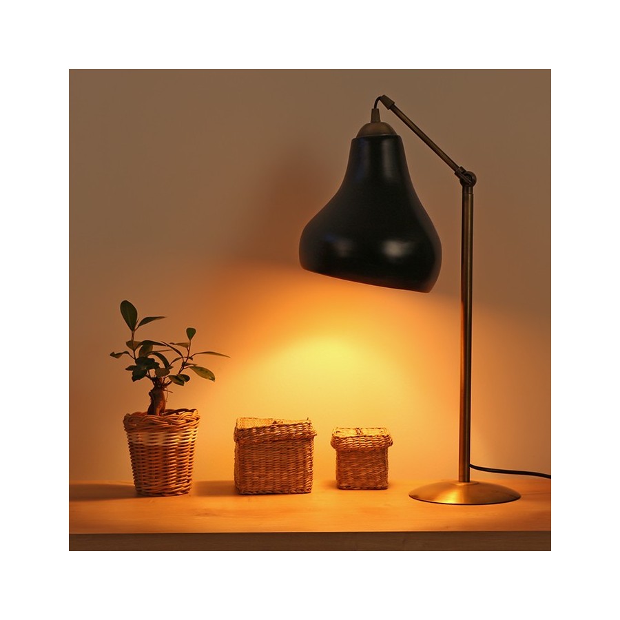 MyLamp Concept | Aydınlatma & Dekorasyon