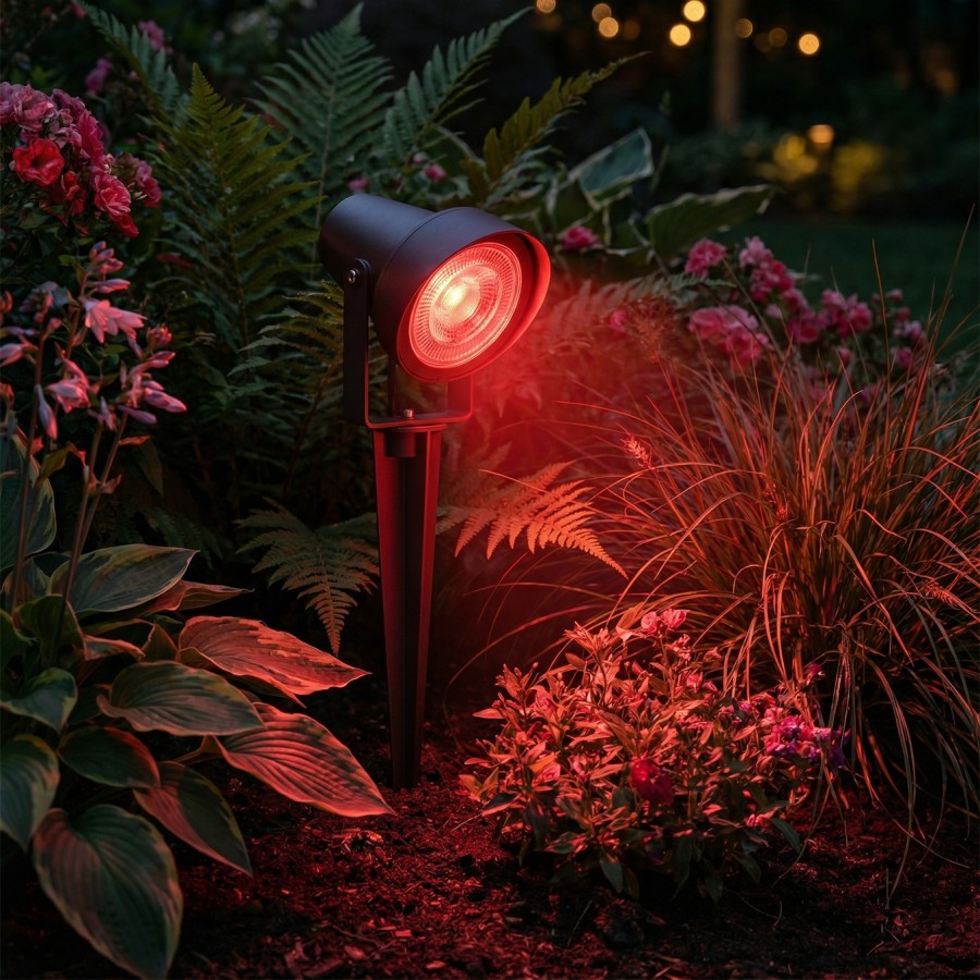 MyLamp Concept | Aydınlatma & Dekorasyon
